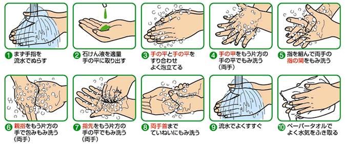 手洗い手順（石けん液）